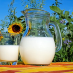 フクロモモンガに与えるミルクの量、ミルクの作り方や与え方について